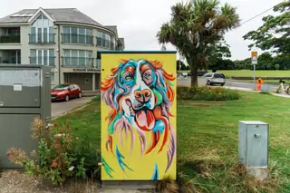 STAY PAWSITIVE BY REBECCA LOW [PAINT-A-BOX STREET ART FOR DOG LOVERS]-237177-1