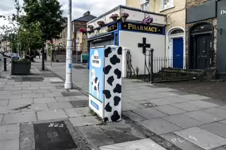 THIS IS COWTOWN [PAINT-A-BOX STREET ART ON MANOR STREET IN STONEYBATTER]-236727-1