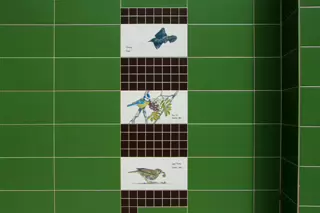 TILES BY KILLIAN MULLARNEY FEATURING BIRDS NATIVE TO IRELAND [MICRO PUBLIC SPACE ON WOLFE TONE STREET]-236749-1