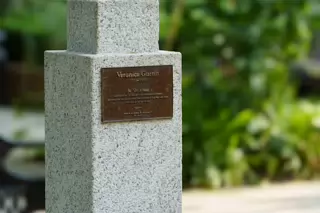 VERONICA GUERIN GARDEN AT DUBLIN CASTLE [30 JULY 2024]-237605-1