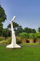 IDEALISED MEMORIES OF VERTICAL GROWTH BY KEN DREW [PHOTOGRAPHED 2014]-235055-1