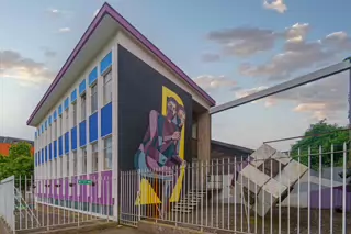 SLEEPING PATTERNS MURALS 2017