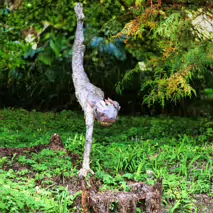 NYMPH A FISHING BY IMOGEN STAFFORD [SCULPTURE IN CONTEXT 2016 CATALOGUE REF 148]-265666