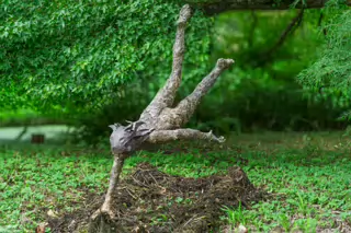 NYMPH A FISHING BY IMOGEN STAFFORD [SCULPTURE IN CONTEXT 2016 CATALOGUE REF 148]-265668