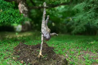 NYMPH A FISHING BY IMOGEN STAFFORD [SCULPTURE IN CONTEXT 2016 CATALOGUE REF 148]-265669