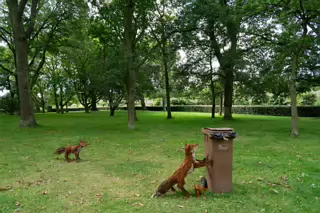 URBAN SAFARI BY BRIAN AND EOIN BYRNE [SCULPTURE IN CONTEXT 2016]-265635