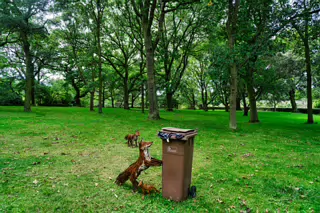 URBAN SAFARI BY BRIAN AND EOIN BYRNE [SCULPTURE IN CONTEXT 2016]-265638