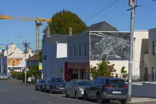 MURAL ON YORK ROAD BY MARIANA DUARTE SANTOS [DUN LAOGHAIRE]-240654-1