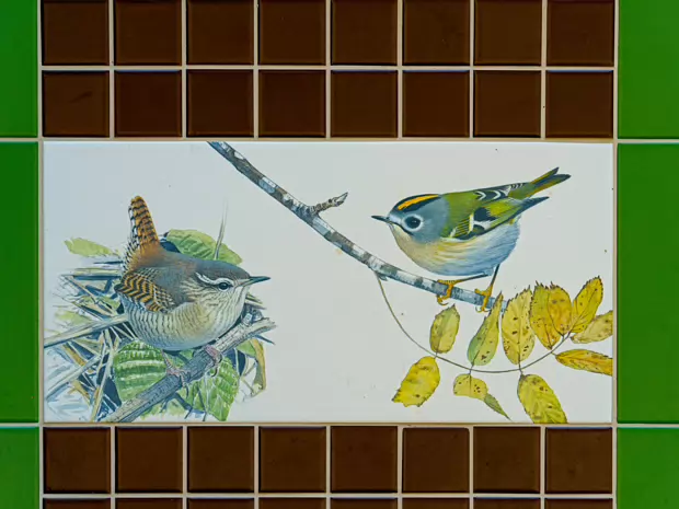WREN AND GOLDCREST