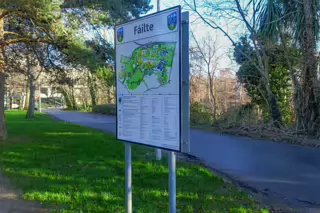 RANDOM IMAGES OF THE UNIVERSITY OF DUBLIN CAMPUS [MY MOTHER WHO IS 104 IN MAY DID NOT WANT TO COME WITH ME AS IT WAS TOO COLD]-226685-1