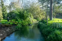 THE MILL FIELD [BOTANIC GARDENS IN APRIL 2024]-223980-1