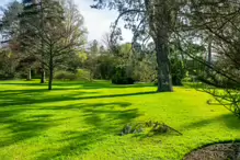 THE MILL FIELD [BOTANIC GARDENS IN APRIL 2024]-223990-1