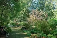 THE MILL FIELD [BOTANIC GARDENS IN APRIL 2024]-223993-1