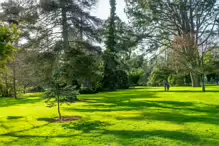 THE MILL FIELD [BOTANIC GARDENS IN APRIL 2024]-223994-1