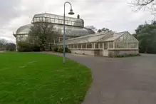 THE BOTANIC GARDENS IN GLASNEVIN [ JANUARY 2019]-147536-1