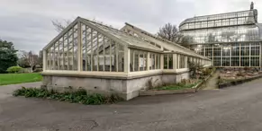 THE BOTANIC GARDENS IN GLASNEVIN [ JANUARY 2019]-147538-1