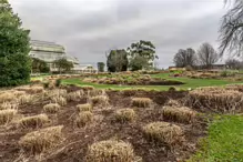 THE BOTANIC GARDENS IN GLASNEVIN [ JANUARY 2019]-147546-1