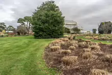 THE BOTANIC GARDENS IN GLASNEVIN [ JANUARY 2019]-147547-1