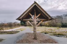 THE BOTANIC GARDENS IN GLASNEVIN [ JANUARY 2019]-147548-1