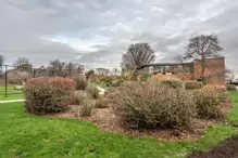 THE BOTANIC GARDENS IN GLASNEVIN [ JANUARY 2019]-147549-1