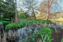 I VISITED THE POND IN THE BOTANIC GARDENS [NO SIGN OF THE TURTLES]-231604-1