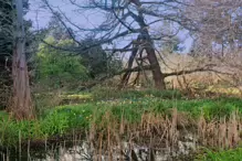 I VISITED THE POND IN THE BOTANIC GARDENS [NO SIGN OF THE TURTLES]-231605-1
