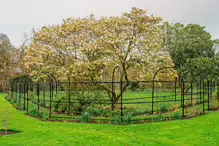 EARLY IN APRIL 2024 I PHOTOGRAPHED THE BOTANIC GARDENS AT RANDOM [DURING A STORM]-231988-1