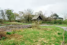 EARLY IN APRIL 2024 I PHOTOGRAPHED THE BOTANIC GARDENS AT RANDOM [DURING A STORM]-231992-1