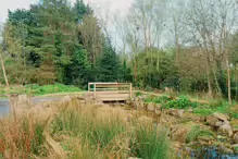 EARLY IN APRIL 2024 I PHOTOGRAPHED THE BOTANIC GARDENS AT RANDOM [DURING A STORM]-231993-1