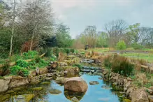 EARLY IN APRIL 2024 I PHOTOGRAPHED THE BOTANIC GARDENS AT RANDOM [DURING A STORM]-231996-1