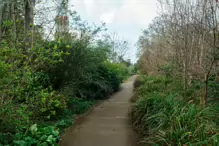 EARLY IN APRIL 2024 I PHOTOGRAPHED THE BOTANIC GARDENS AT RANDOM [DURING A STORM]-232002-1