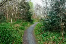 EARLY IN APRIL 2024 I PHOTOGRAPHED THE BOTANIC GARDENS AT RANDOM [DURING A STORM]-232003-1