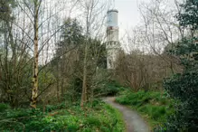 EARLY IN APRIL 2024 I PHOTOGRAPHED THE BOTANIC GARDENS AT RANDOM [DURING A STORM]-232004-1