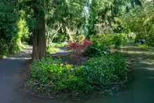 A SPLASH OF COLOUR AT THE BOTANIC GARDENS [DURING STORM KATHLEEN]-223870-1