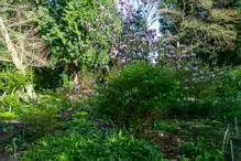 A SPLASH OF COLOUR AT THE BOTANIC GARDENS [DURING STORM KATHLEEN]-223872-1