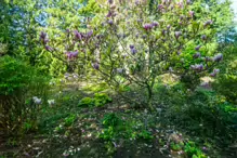 A SPLASH OF COLOUR AT THE BOTANIC GARDENS [DURING STORM KATHLEEN]-223875-1