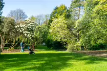 A SPLASH OF COLOUR AT THE BOTANIC GARDENS [DURING STORM KATHLEEN]-223878-1