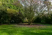 A SPLASH OF COLOUR AT THE BOTANIC GARDENS [DURING STORM KATHLEEN]-223879-1