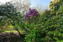 A SPLASH OF COLOUR AT THE BOTANIC GARDENS [DURING STORM KATHLEEN]-223891-1