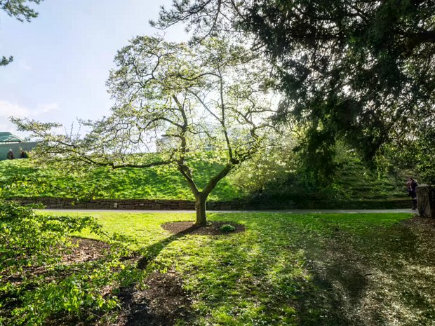 MILL FIELD AT THE BOTANIC GARDENS SELECT AN IMAGE TO VIEW SLIDESHOWS