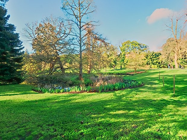 THE POND BOTANIC GARDENS APRIL 2024