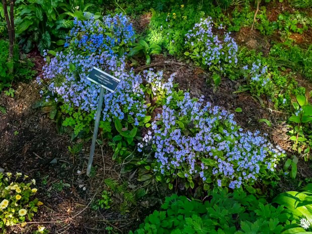 SPRING FLOWERS SELECT AN IMAGE TO VIEW SLIDESHOWS