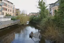 CHAPELIZOD WEIR [I WAS A BIT DISAPPOINTED BY WHAT I COULD SEE FROM MAIDEN'S ROW]-231273-1