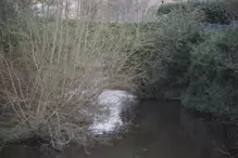 CHAPELIZOD WEIR [I WAS A BIT DISAPPOINTED BY WHAT I COULD SEE FROM MAIDEN'S ROW]-231274-1