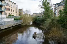 CHAPELIZOD WEIR [I WAS A BIT DISAPPOINTED BY WHAT I COULD SEE FROM MAIDEN'S ROW]-231275-1