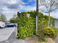 MILL LANE PALMERSTOWN VILLAGE [A HIDDEN GEM OFF THE OLD LUCAN ROAD]-231794-1