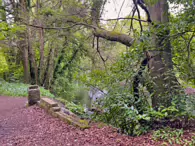 PALMERSTOWN FC ON MILL LANE ON THE BANKS OF THE RIVER LIFFEY [AND THE MYSTERY OF THE PARK]-231852-1