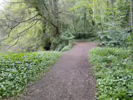PALMERSTOWN FC ON MILL LANE ON THE BANKS OF THE RIVER LIFFEY [AND THE MYSTERY OF THE PARK]-231859-1