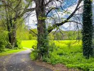 PALMERSTOWN FC ON MILL LANE [AND THE MYSTERY OF THE PARK]-231867-1