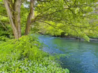 THE RIVER LIFFEY